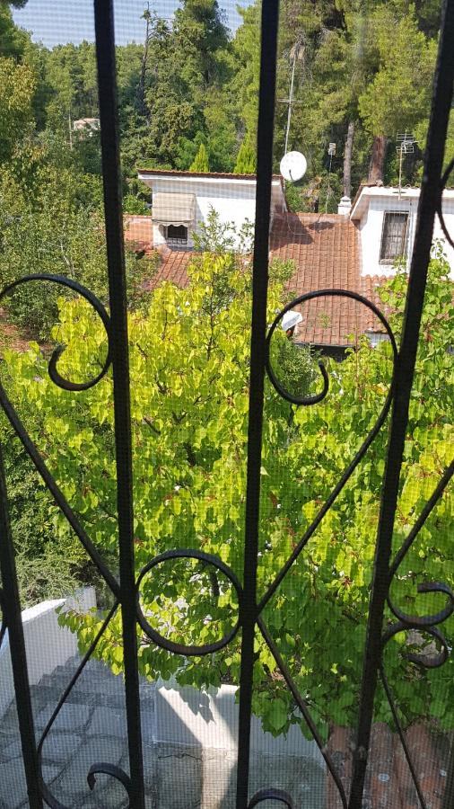 Konstantinos'S Luxury Residence Sani Sani  Екстер'єр фото