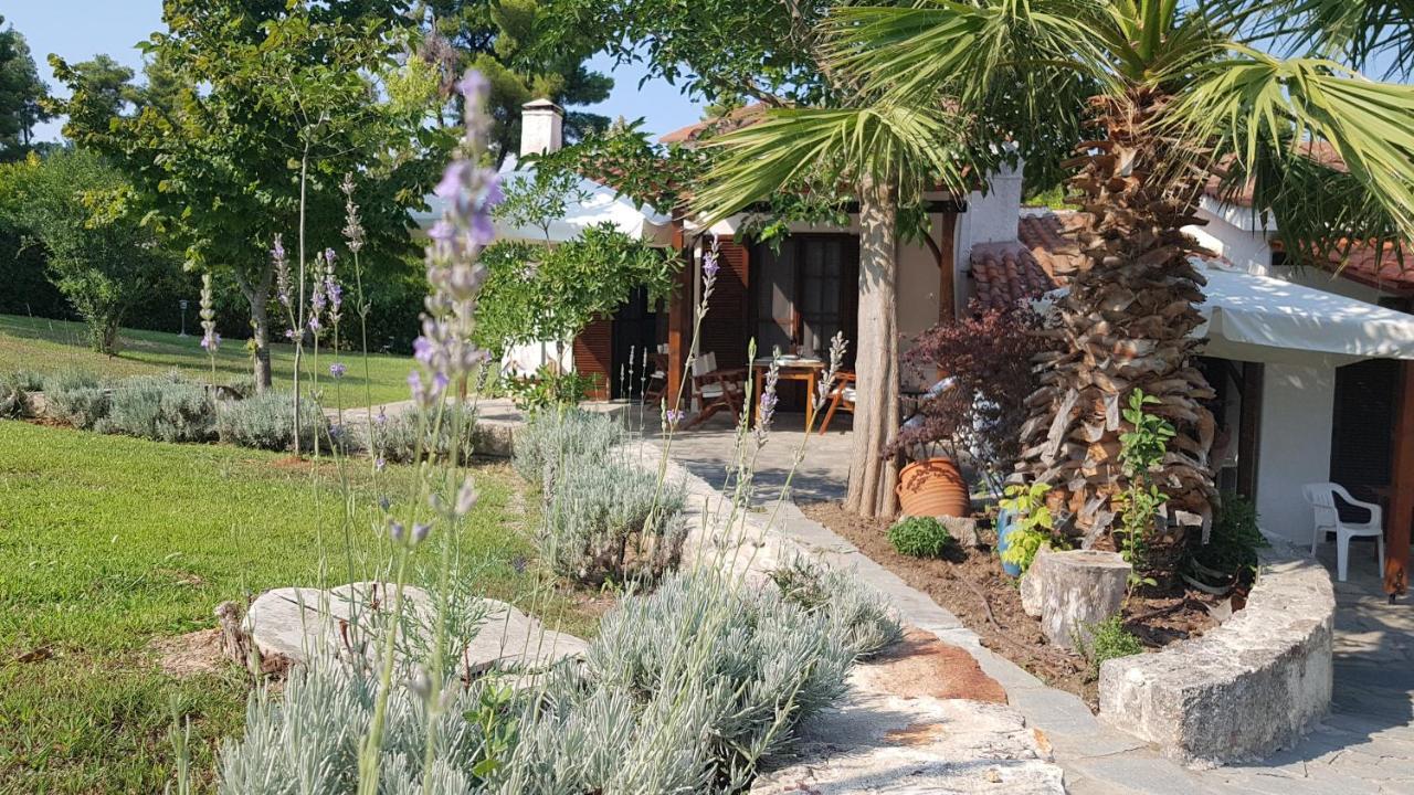 Konstantinos'S Luxury Residence Sani Sani  Екстер'єр фото