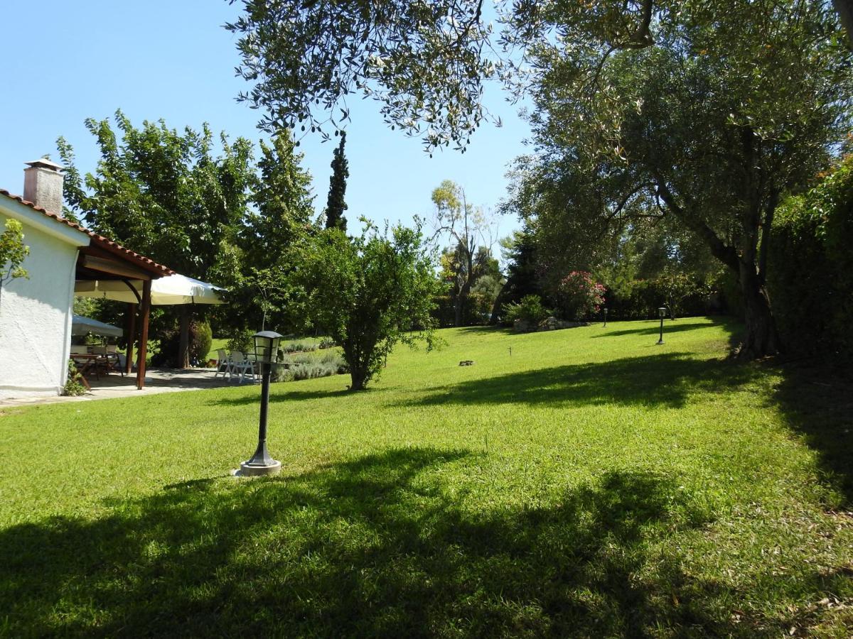 Konstantinos'S Luxury Residence Sani Sani  Екстер'єр фото